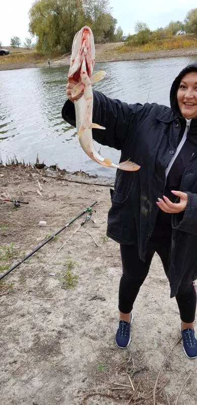 Щука