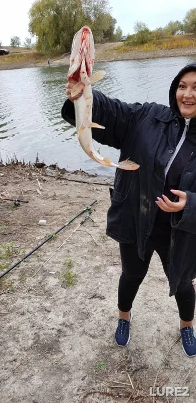 Щука — Дон, 16 сент. 2019 г.