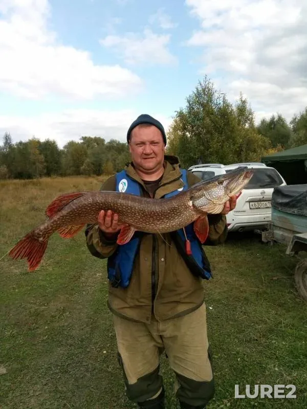 Щука — Иртыш, 08 сент. 2019 г.