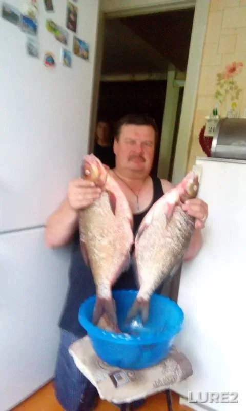 Лещ, Окунь — Сок, 04 сент. 2019 г.