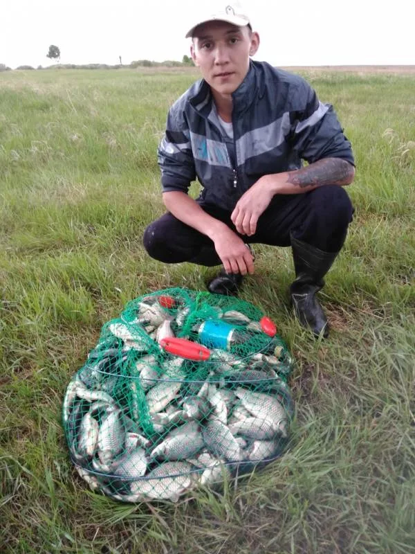 Карась