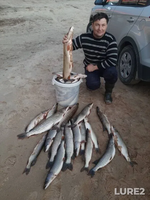 Щука — Нгарка-Пыряяха, 07 окт. 2019 г.
