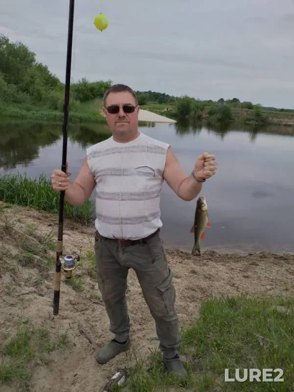 Голавль