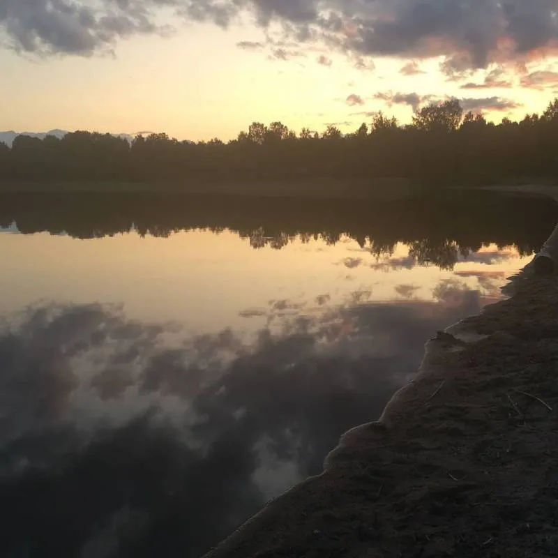 Лещ, Окунь