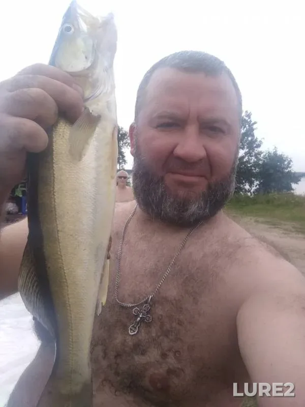 Судак — Челябинская область, Каслинский район, 17 авг. 2019 г.