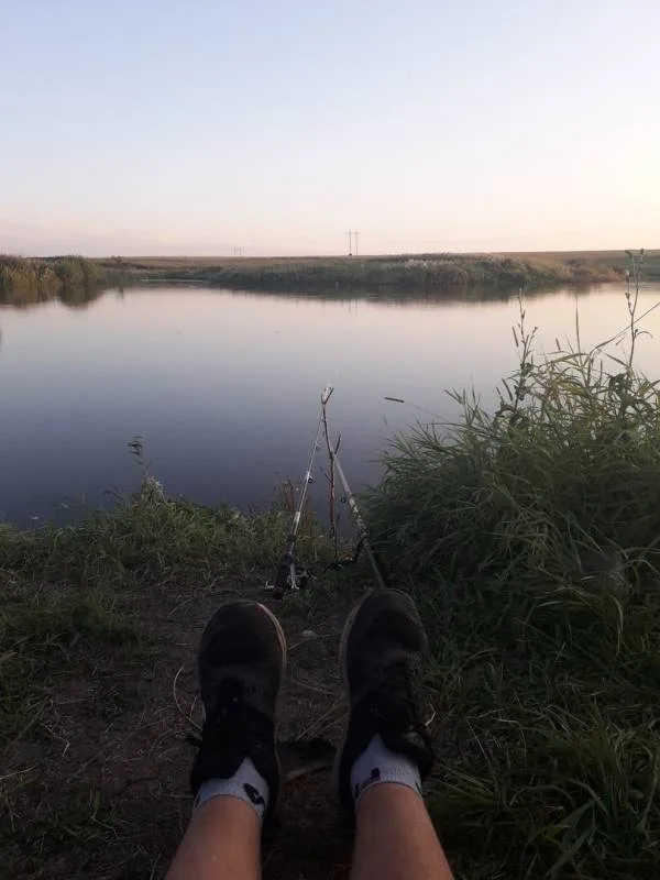 Карась