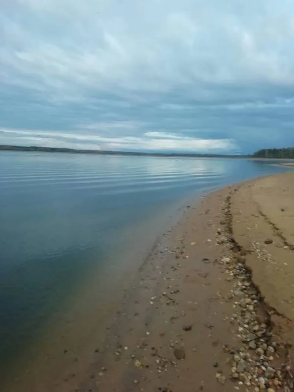 Лещ