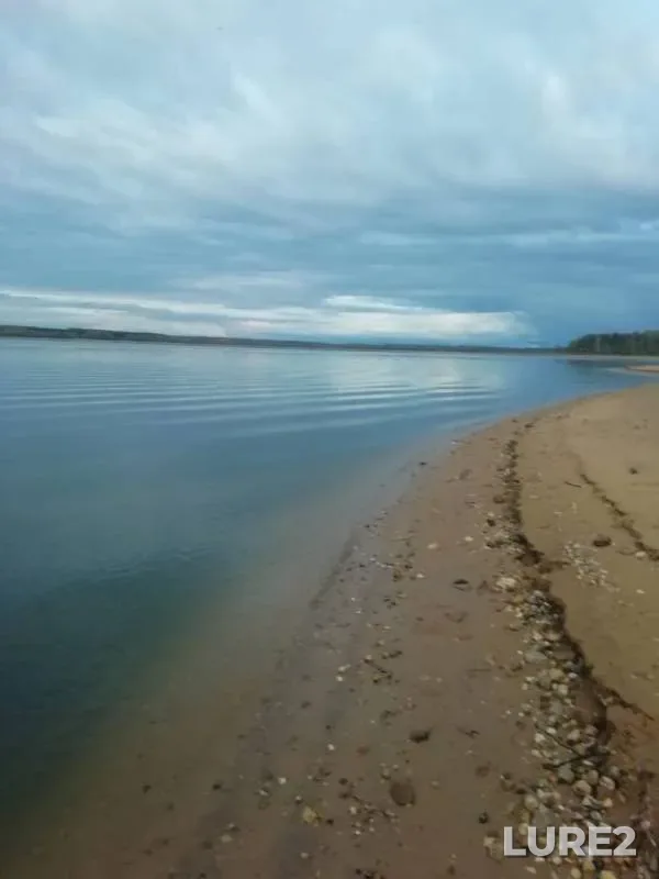 Лещ
