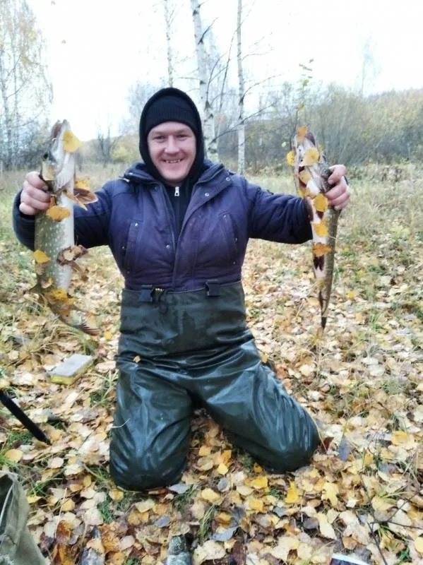 Щука