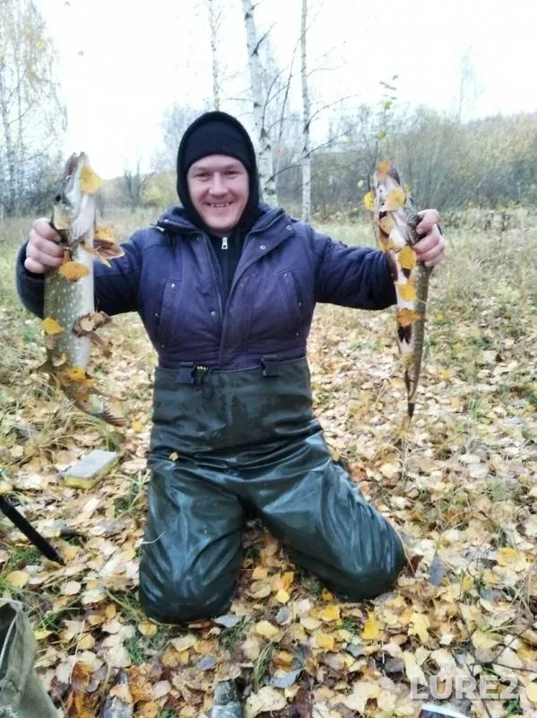 Щука — Волга, 14 окт. 2019 г.