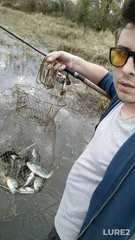 Окунь