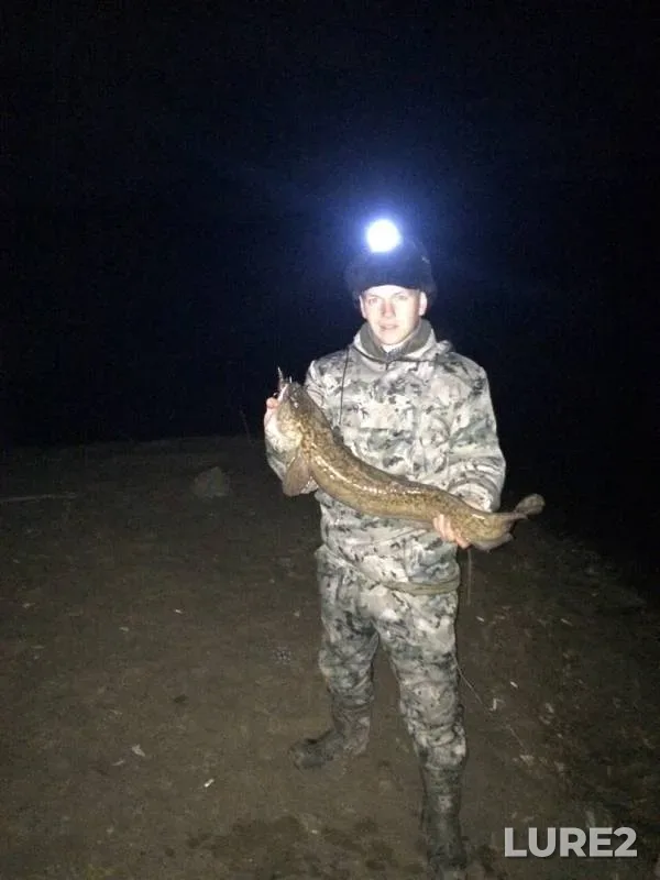 Налим — Есіл, 24 окт. 2019 г.