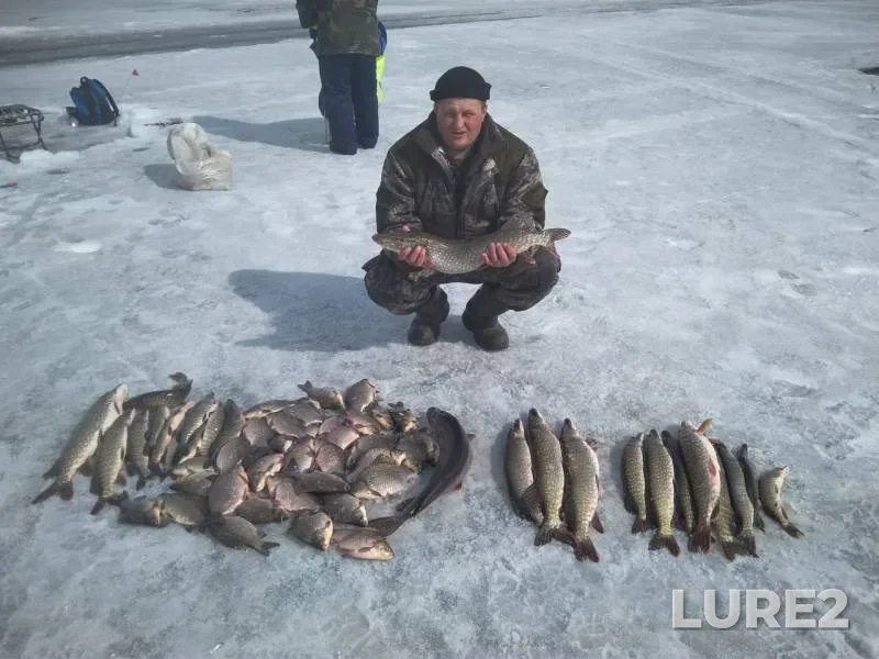 Карась, Щука — Костанайская область, 22 нояб. 2019 г.