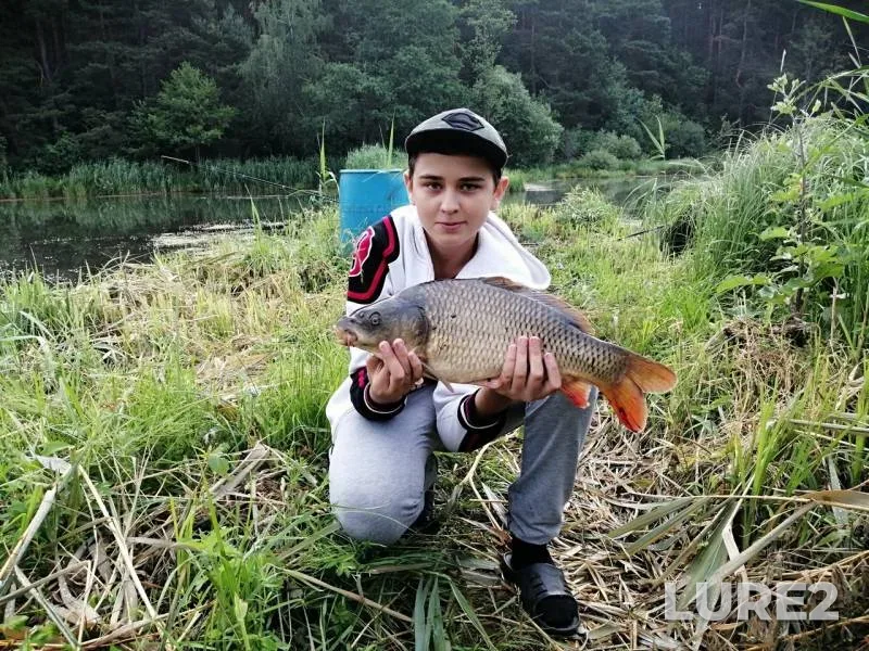 Карп — Татарка, 24 июн. 2019 г.