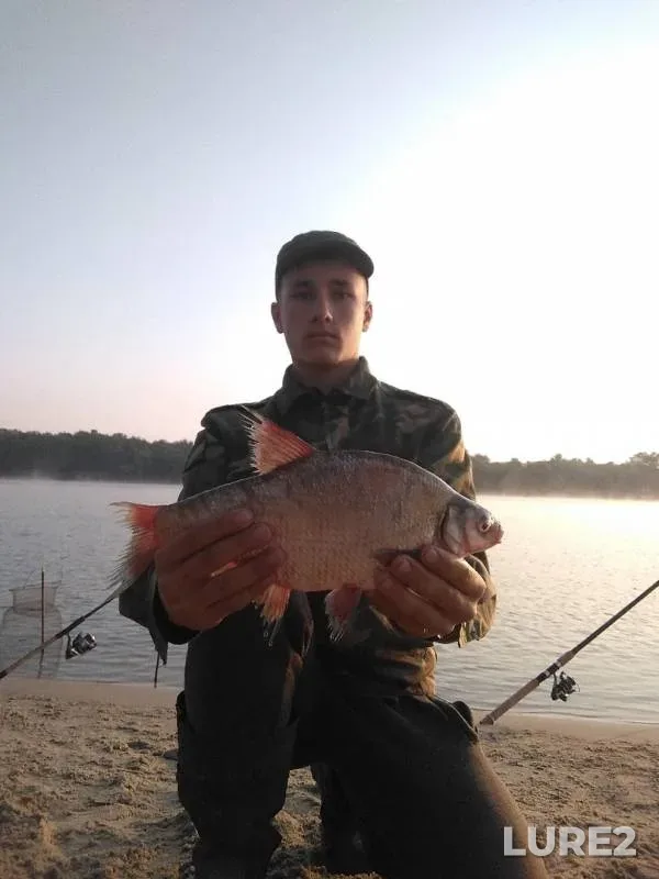 Лещ — Дон, 14 июл. 2019 г.