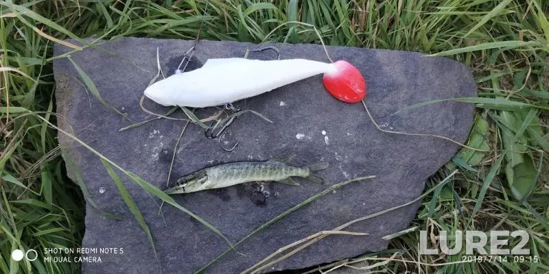 Щука — Ишим, 14 июл. 2019 г.