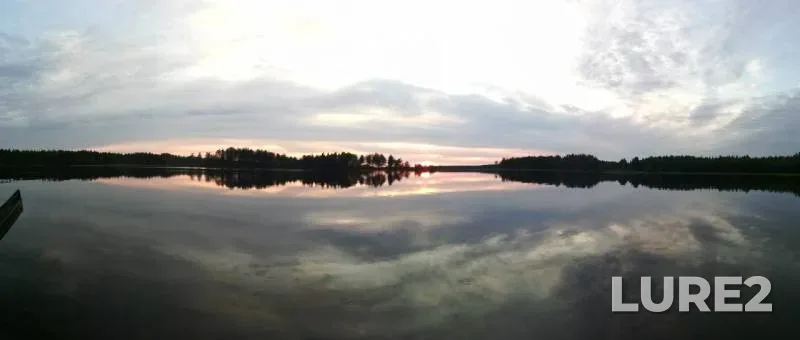 Язь, Окунь