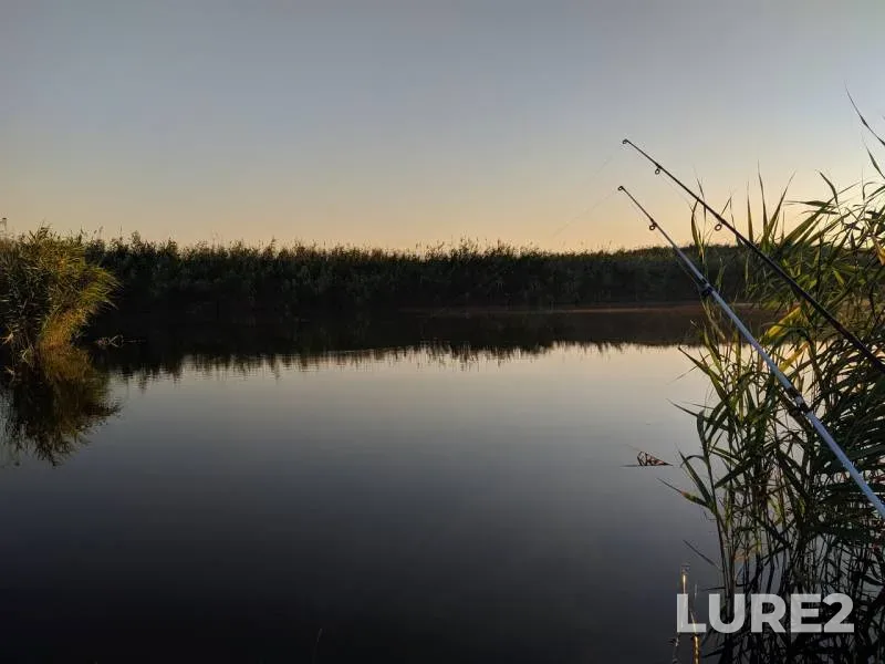 Карась — Краснодарский край, Приморско-Ахтарский район, 20 июл. 2019 г.