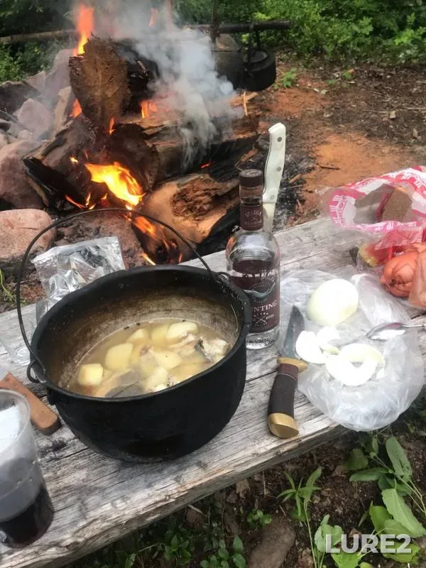 Налим, Окунь