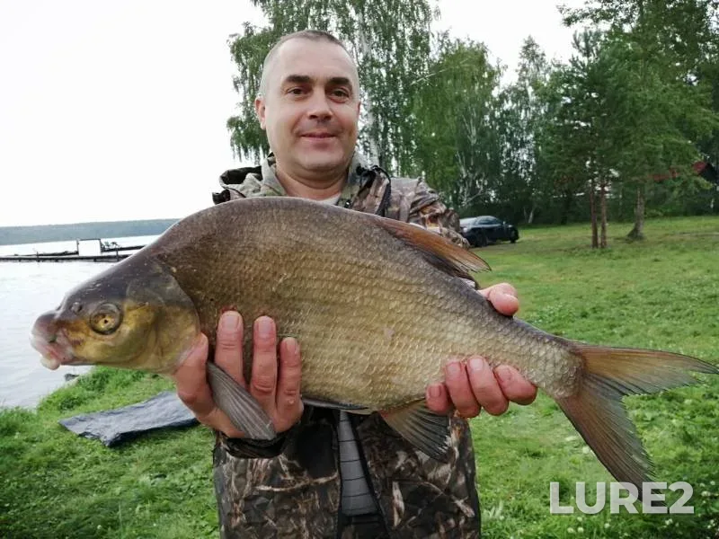 Лещ — Белоярское, 16 авг. 2019 г.