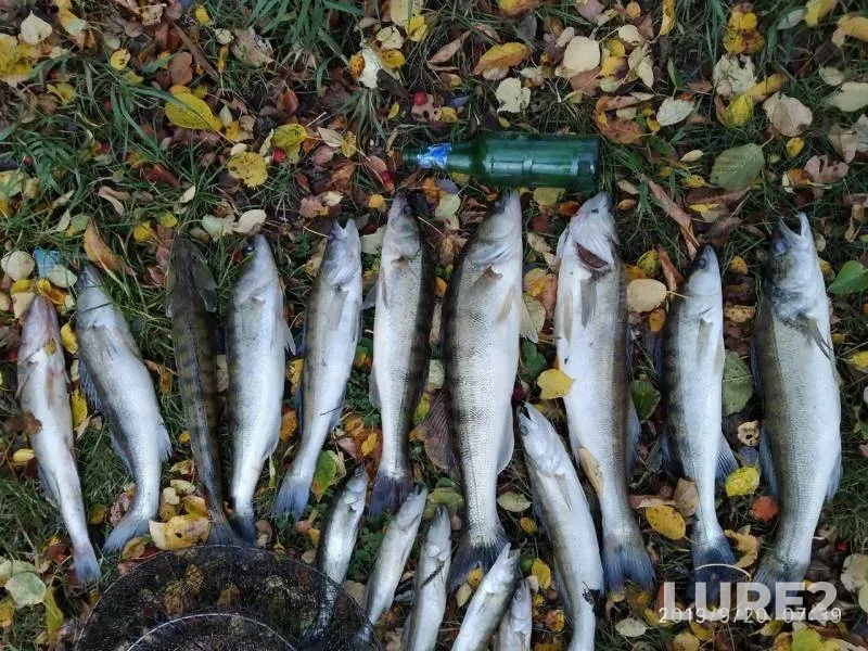 Судак — Верх-Исетское, 20 сент. 2019 г.