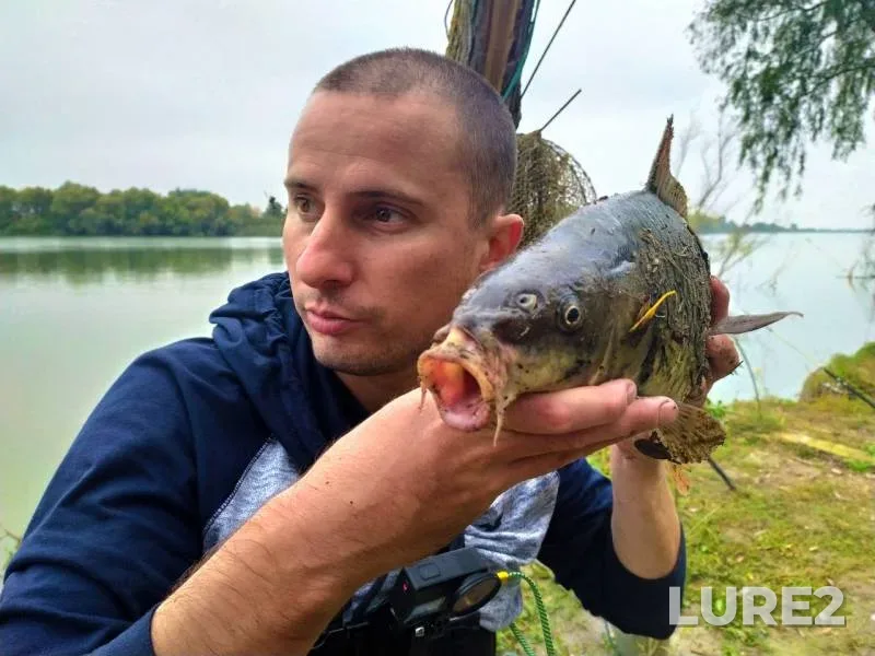 Карп — Быстрое гирло, 21 окт. 2019 г.