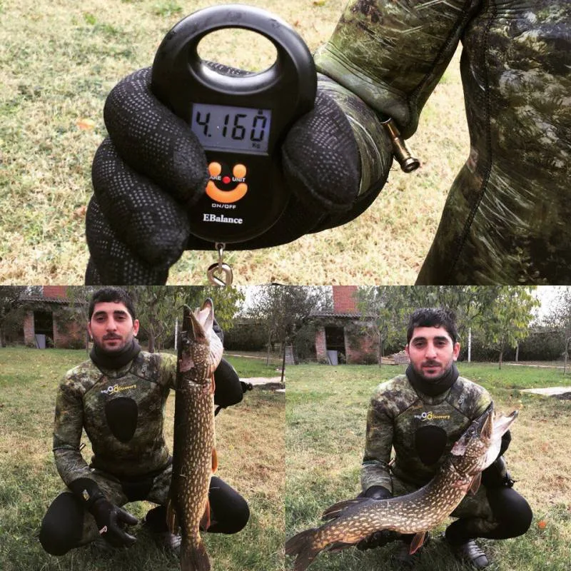 Щука