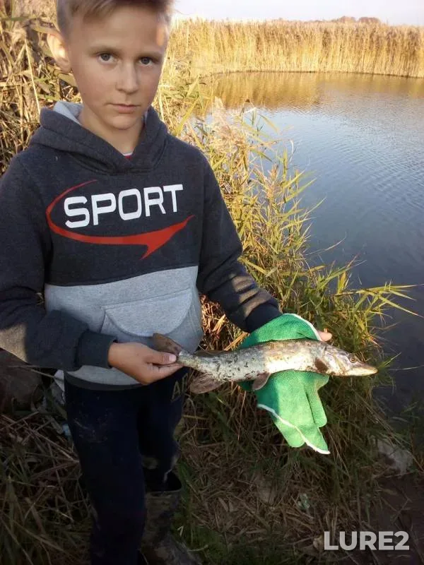 Щука — Гродненская область, Гродненский район, 21 окт. 2019 г.
