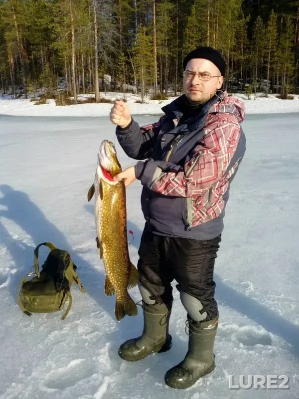 Щука