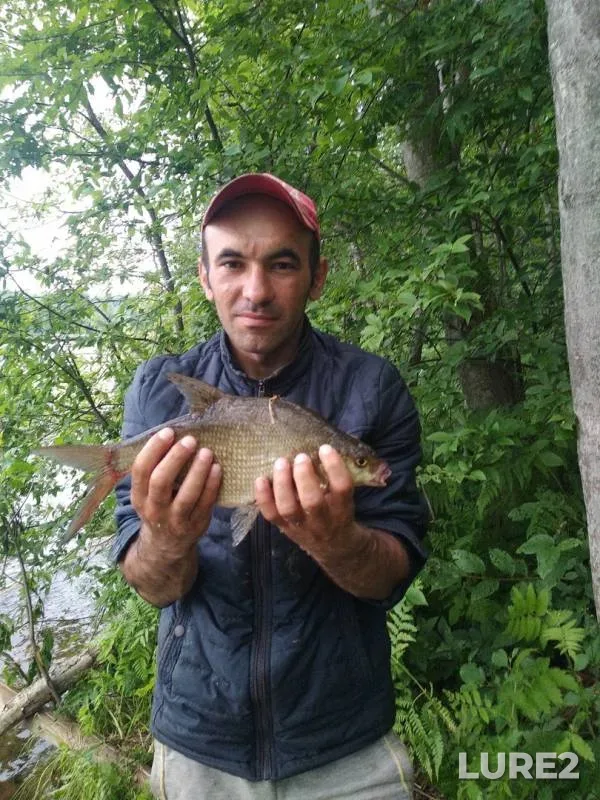 Лещ