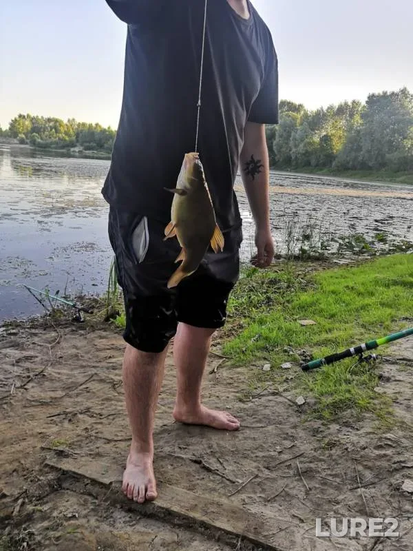 Линь — Сож, 20 июн. 2019 г.