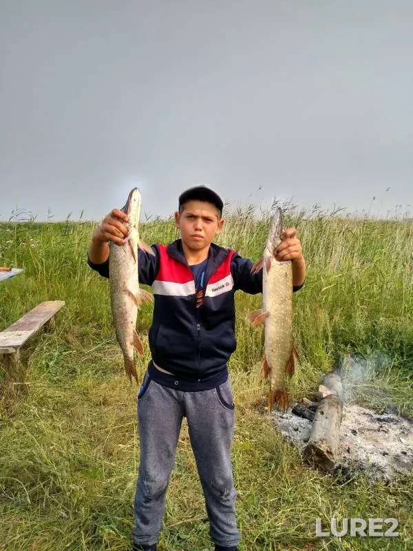 Щука — Никольское, 28 июл. 2019 г.