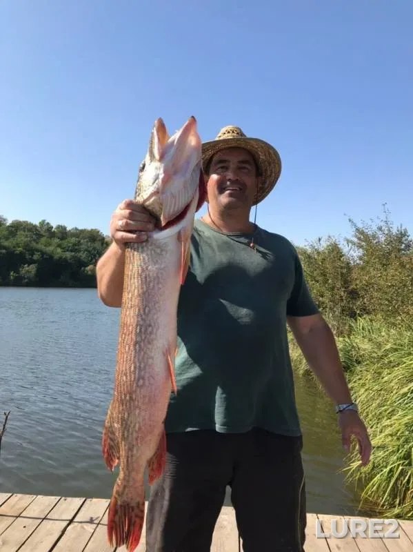Щука — Белгородская область, 11 сент. 2019 г.