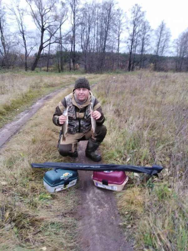 Щука
