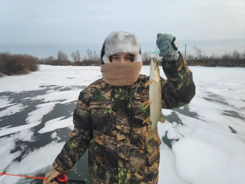 Щука