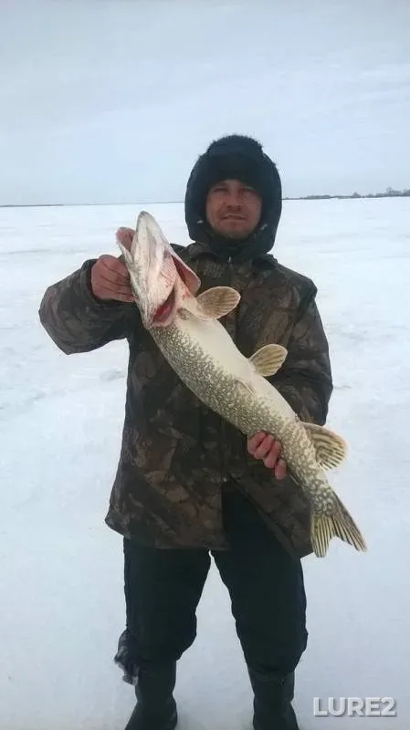 Щука — Северо-Казахстанская область, 16 мар. 2018 г.