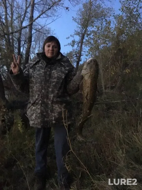 Сом — Ишим, 02 окт. 2019 г.
