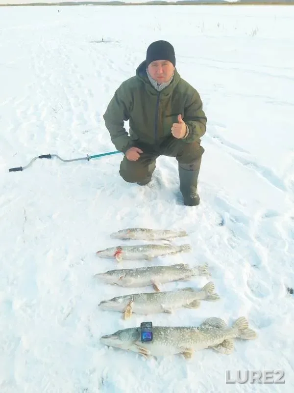 Щука — Балыкты, 27 нояб. 2019 г.