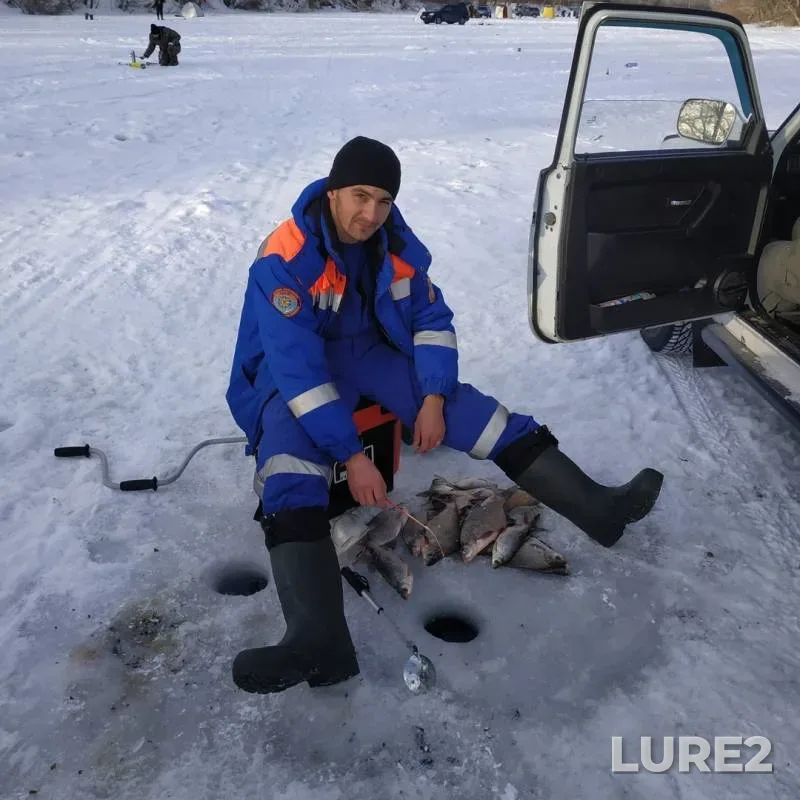 Лещ, Плотва — Павлодарская область, 19 дек. 2018 г.
