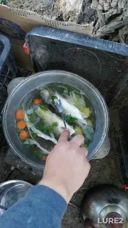 Карась — Сырдария, 12 мая 2019 г.