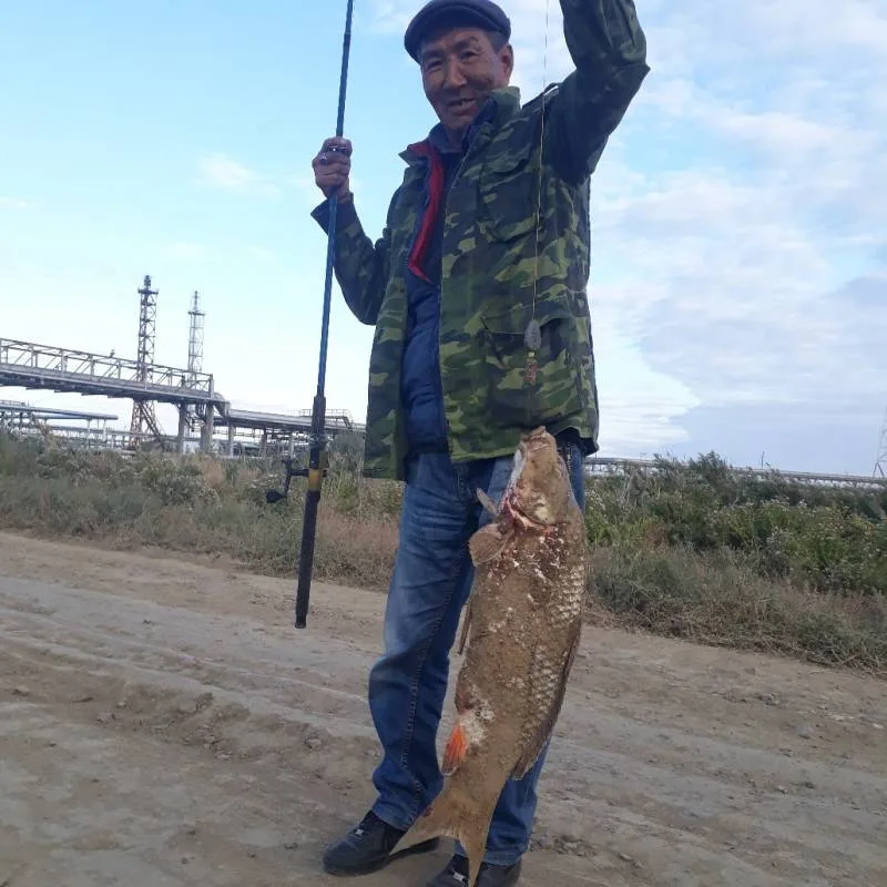 Лещ