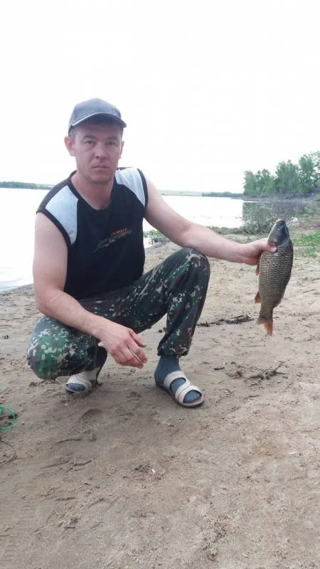 Карп, Карась
