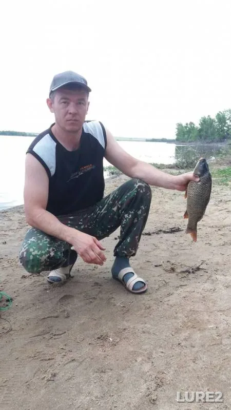 Карп, Карась — Актюбинское, 21 июн. 2018 г.
