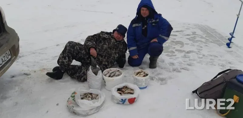 Плотва — Каргалинское, 03 дек. 2018 г.