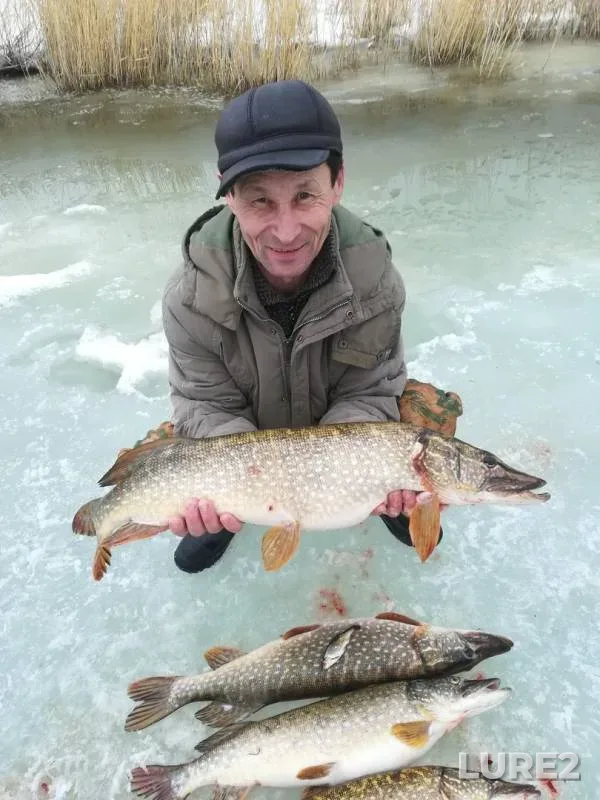 Щука — Актюбинская область, 29 мар. 2019 г.