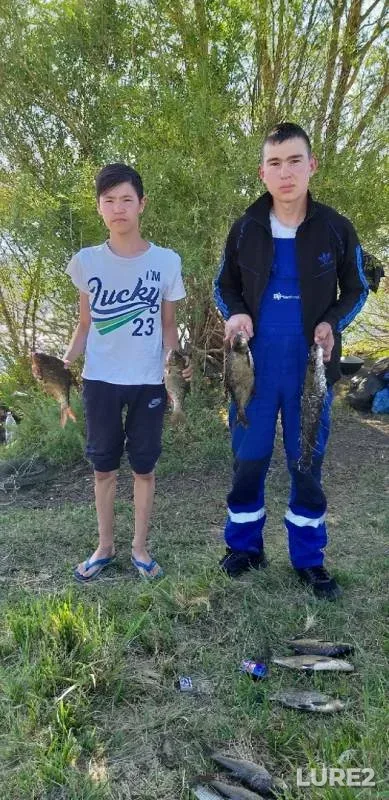 Лещ, Сом — Орь, 08 июл. 2019 г.