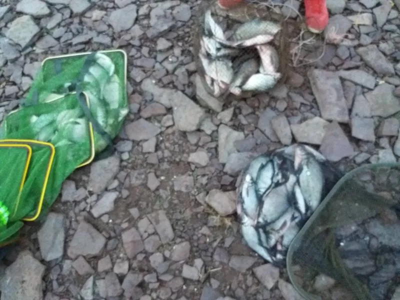 Лещ