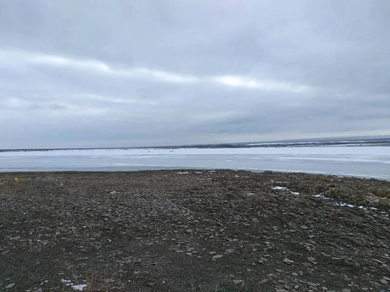 Лещ, Судак