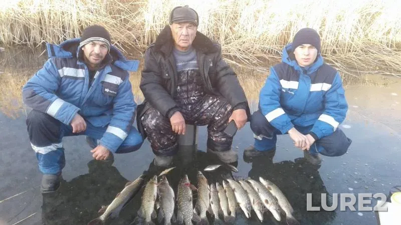 Щука — Актюбинская область, 19 нояб. 2019 г.