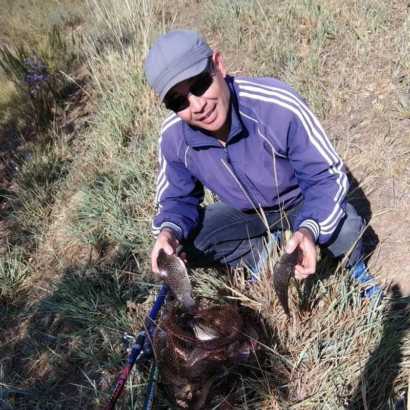 Карась